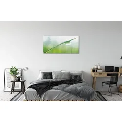 tulup.si Slika na steklu Drop trava makro 120x60 cm 2 obešalnika