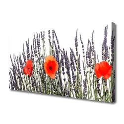 tulup.si Slika na platnu Mak grass polje 120x60 cm