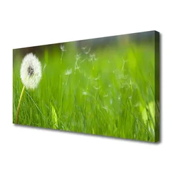 tulup.si Slika na platnu Dandelion grass rastlin 125x50 cm