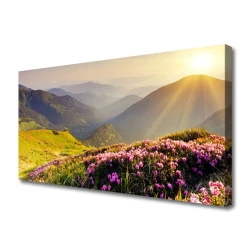 tulup.si Slika na platnu Mountain travnik landscape 120x60 cm