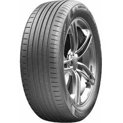 Greentrac Quest-X ( 295/30 ZR19 100Y XL )