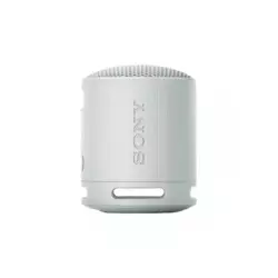 SONY SRS-XB100 Grey Bluetooth zvučnik