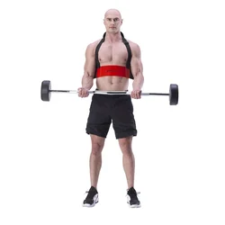 Arm blaster za pravilno vadbo bicepsa HMS