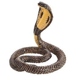 Mojo King Cobra