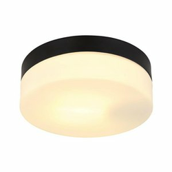 GLOBO plafonejra Vranos 32111B