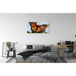 tulup.si Steklena slika Pisane metulj 120x60 cm 4 obešalnika