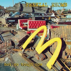 Frenzal Rhomb - Not So Tough Now (Reissue) (LP)