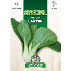 PAK-CHOI