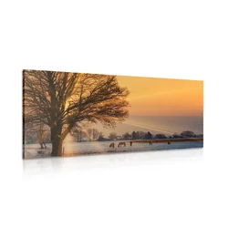 Slika konji v zasneženi deželi - 120x60