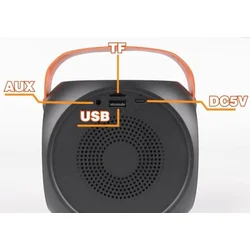 Gembird SPK-L2 Bluetooth zvucnik RGB, 10W, 1800mAh, microSD, AUX + mikrofon 500mAh (1360)