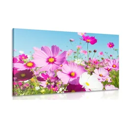 Slika travnik spomladanskih cvetov - 40x30