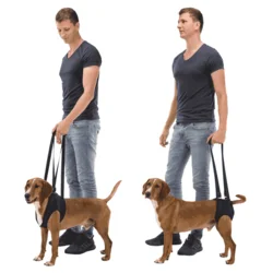 Trixie Pojas za pomoć pri kretanju Dog Walking Aid - L