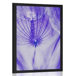 Plakat regrat v vijolični varianti - 20x30 no frame