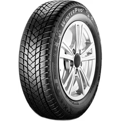 GT Radial WinterPro2 ( 205/65 R15 94T )
