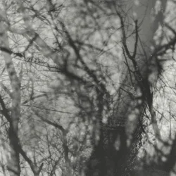 Grouper - Way Their Crept (Reissue) (LP)
