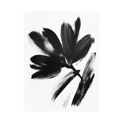 Canvas Slika na platnu Crno beli cvet II, 45 x 60 cm