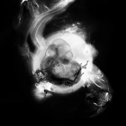Saffronkeira - Saffronkeira (LP)