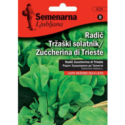 RADIČ TRŽAŠKI SOLATNIK/Zuccherina di Trieste - Ceneje.si