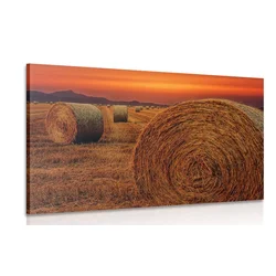 Slika bale sena - 40x30