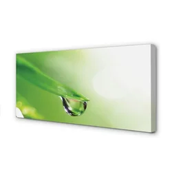 tulup.si Slika na platnu Drop listov sonce 125x50 cm