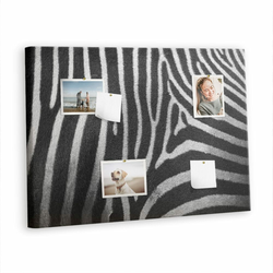 tulup.si Plošča iz plute Vzorec zebra 100x70 cm Barvito zatiči