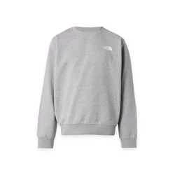 THE NORTH FACE Majica EVOLUTION siva/črna/bela