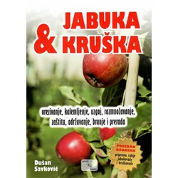 Jabuka i kruška - Dušan Savković ( 11627 )