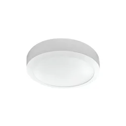 LED plafonjera 12W, promenljiva boja svetla