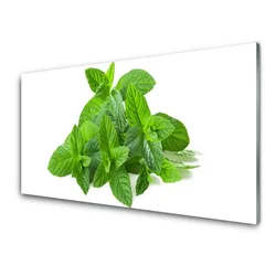 tulup.si Slika na steklu Mint rastlin narava 125x50 cm 2 obešalnika