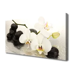 tulup.si Slika na platnu Beautiful cvet orhideje 100x50 cm