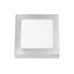 LED plafonsko svetlo RAFA LED/12W/230V 4100K