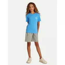 Calvin Klein Jeans Majica azur/siva/bela