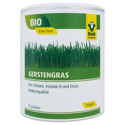 RAAB VITALFOOD GMBH prehransko dopolnilo Bio ječmenova trava v prahu, 75 g