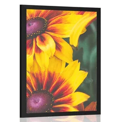 Plakat atrakvitne dvobarvne rože - 20x30 silver