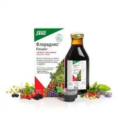 SALUS Floradiks sirup sa gvožđem 250ml