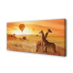 tulup.si Slika na platnu Baloni nebo žirafa 100x50 cm