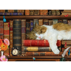 Katzennickerchen (Puzzle)