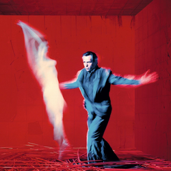 Peter Gabriel Us (2 LP)