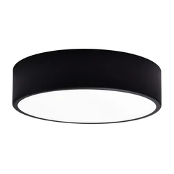 Kupatilsko plafonsko svetlo CLEO 2xE27/24W/230V prečnik 30 cm crno IP54