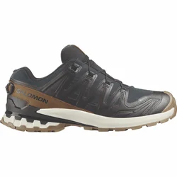 Salomon XA PRO 3D V9 GTX LIFELONG, muške patike za trail trčanje, crna L47963800