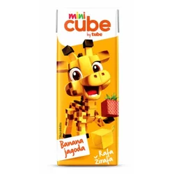 VOĆNI NAPITAK MINI CUBE BY TUBE BAN.+JAG.0.2L BRIK