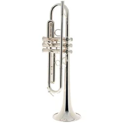 Trobenta B1 Schilke