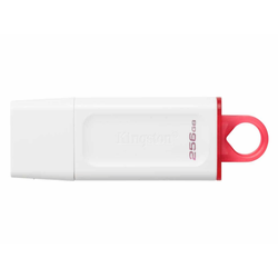 USB memorija KINGSTON KC-U2G256-5R/DataTraveler Exodia/3.2/bela