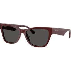 Jimmy Choo Naočare za sunce JC 5024HU 505787