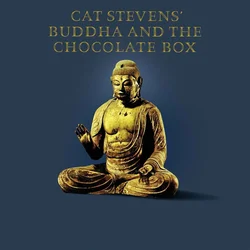 Cat Stevens - Buddha And The Chocolate Box (Remastered) (CD)
