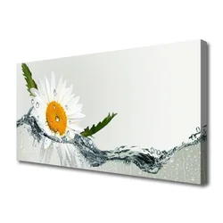 tulup.si Slika na platnu Daisy rastlina voda 100x50 cm