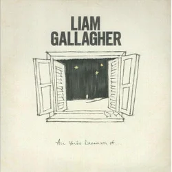 Liam Gallagher All YouRe Dreaming Of (LP) Single