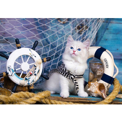 Enjoy - Puzzle Captain Kitten - 1 000 kosov