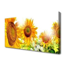 tulup.si Slika na platnu Sončnica flower rastlin 125x50 cm