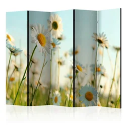artgeist Paravan Daisies I, 5-Delni, Dvostranski